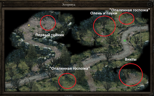 Pillars of Eternity - Один в поле воин Соло прохождение «Pillars of Eternity» на "пути проклятых", часть вторая